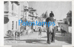 228971 NEPAL THE PALACE ELEPHANT POSTAL POSTCARD - Nepal