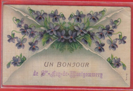 Carte Postale Gaufrée 14. Sainte-Foy-de-Montgommery  Très Beau Plan - Other & Unclassified