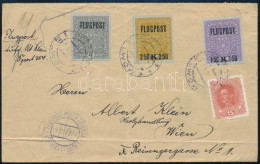 Ausztria 1918 Légi Levél Repülő Sorral Lemberg - Wien - Other & Unclassified