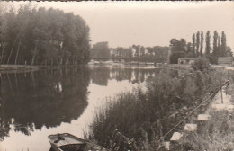 89 - Environs De Sens  -  Les Bords De L'Yonne - Other & Unclassified