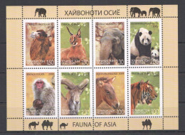 Ec187 2009 Tajikistan Wwf Fauna Of Asia Animals 1Kb Mnh - Unused Stamps