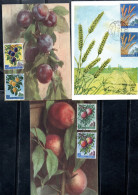 REPUBBLICA DI SAN MARINO 1958 FRUTTA E PRODOTTI AGRICOLI FRUIT SERIE COMPLETA FULL SET MAXI MAXIMUM CARD CARTOLINA CARTE - FDC