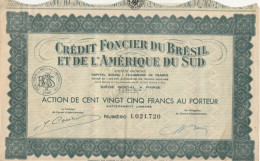 ACTION De 125 Francs Du CREDIT FONCIER Du BRESIL Et De L'AMERIQUE Du SUD - A - C