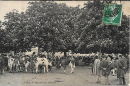 VIRE Marché Aux Bestiaux - Vire