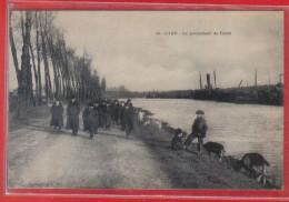 Carte Postale 14. Caen La Promenade Du Canal  Très Beau Plan - Caen