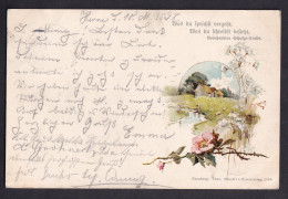 Was Du Iprichst Vergeht Was Du Ichreibst... - Theo. Stroefers / Year 1898 / Long Line Postcard Circulated, 2 Scans - Autres & Non Classés