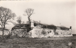 BROUAGE ENTREE DU VILLAGE PAR LA ROUTE DE ROCHEFORT 1960 CPSM 9X14 TBE - Andere & Zonder Classificatie