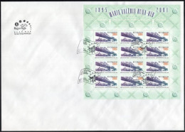 2001 Mária Valéria Duna-híd Kisív FDC-n - Other & Unclassified