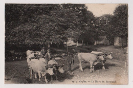 76 - B21653CPA - AUFFAY - La Mare Du Bosmelet - Carte Raccourcie - Mauvais état - SEINE-MARITIME - Auffay