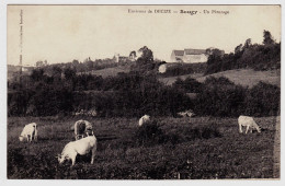 58 - B21102CPA - SOUGY - DECIZE - Un Paturage, Vaches - Très Bon état - NIEVRE - Autres & Non Classés