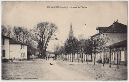 40 - B17179CPA - LIT ET MIXE - Avenue Eglise - Bon état - LANDES - Autres & Non Classés