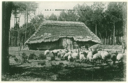 40 - B16901CPA - MORCENX - Pacage , Bergerie, Moutons - Très Bon état - LANDES - Morcenx