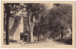 81 - B16580CPA - MASSAC - SERAN - Le Couvent, Allee De La Vierge - Très Bon état - TARN - Autres & Non Classés