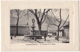 81 - B16506CPA - SAINT AMANS SOULT - La Fontaine De La Vierge - Très Bon état - TARN - Autres & Non Classés