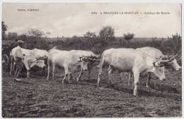 58 - T1113CPA - A TRAVERS LE MORVAN - 2134 - Attelage De Boeufs - Très Bon état - NIEVRE - Other & Unclassified