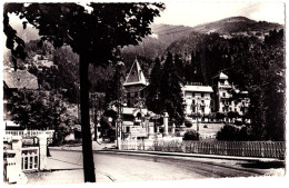 74 - B31762CPSM - LE FAYET - Pont Du Bonnand Et Hotel De Savoie - Très Bon état - HAUTE-SAVOIE - Autres & Non Classés