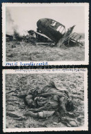 1941. áprilisa, Délvidék Visszafoglalása, Lezuhant Jugoszláv Repülőgép, Valamint Pilótájának Holtteste, 2 Db Feliratozot - Other & Unclassified