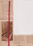 Verdun - En Fouillant La Terre - Orig. Knipsel Coupure Tijdschrift Magazine - 1931 - Unclassified
