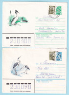 USSR 1982.0929-1028. Birds. Prestamped Covers (2), Used - 1980-91