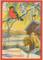 BIRD Animals Vintage Postcard CPSM #PAN082.A - Birds