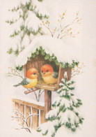 PÁJARO Animales Vintage Tarjeta Postal CPSM #PAM992.A - Birds