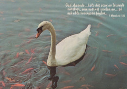 UCCELLO Animale Vintage Cartolina CPSM #PAM703.A - Pájaros