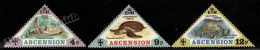 Ascension 1973 Yvert 171-73, Fauna, Sea Turtles - MNH - Ascensione