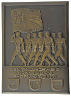 Svájc ~1930. "Közép-Svájc Tornaszövetség Tiszteletbeli Tagja" Nagyméretű, Egyoldalas Bronz Plakett, Hátoldalán Rögzítésh - Unclassified