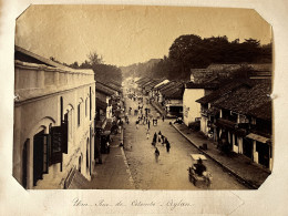 Colombo , Sri Lanka Ceylan Ceylon * Rue * JACOB Taxidermiste * Grande Photo Albuminée Circa 1885/1910 Format 26.5x21.5cm - Sri Lanka (Ceilán)