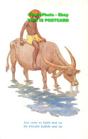 R421139 Just Come To India And See My Friendly Buffalo And Me. Children Overseas - World