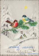 PÁJARO Animales Vintage Tarjeta Postal CPSM #PBR400.A - Oiseaux