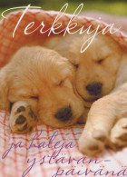 PERRO Animales Vintage Tarjeta Postal CPSM #PBQ584.A - Dogs