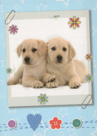 PERRO Animales Vintage Tarjeta Postal CPSM #PBQ569.A - Dogs