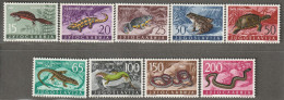 YOUGOSLAVIE- N°905/13 ** (1962) Faune - Nuevos