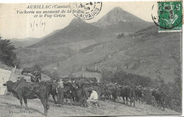 AURILLAC Vacherie Au Moment De La Traite Et Le Puy Griou - Aurillac