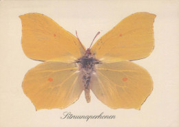 PAPILLONS Animaux Vintage Carte Postale CPSM #PBS438.A - Mariposas