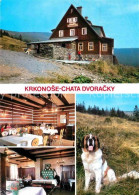 72720979 Jizerou Chata Dvoracky Krkonose Berghaus Riesengebirge Hund Jizerou - Tschechische Republik