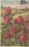 FLEURS Vintage Carte Postale CPSMPF #PKG032.A - Fleurs
