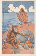 MONO Animales Vintage Tarjeta Postal CPA #PKE767.A - Monkeys