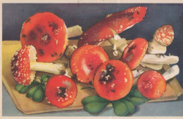 MUSHROOMS Vintage Carte Postale CPSMPF #PKD673.A - Hongos