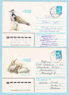 USSR 1982.1206. Birds. Prestamped Covers (2), Used - 1980-91