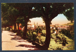 07. La Louvesc. Vue Générale Et Boulevard Des Elégants. Clochers De La Basilique Saint- Régis. - La Louvesc