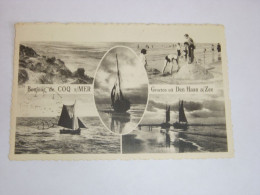 CP CARTE POSTALE BELGIQUE Le COQ Sur MER De HAAN VUES DIVERSES - Ecrite - De Haan