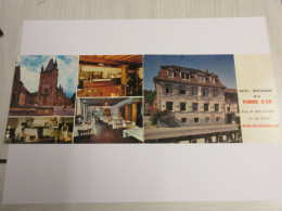 CP CARTE POSTALE BAS RHIN NIEDERHASLACH HOTEL De La POMME D'OR                   - Andere & Zonder Classificatie