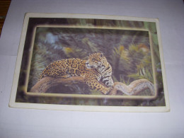 CP CARTE POSTALE ANIMAUX LEOPARD Sur Une BRANCHE - VIERGE - Autres & Non Classés