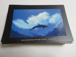 CP CARTE POSTALE ANIMAUX GRAND DAUPHIN - Vierge - Dolfijnen