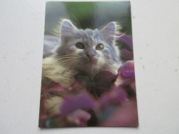 CP CARTE POSTALE ANIMAUX CHATON GRIS - Ecrite En 1984. Timbree Au Verso - Cats