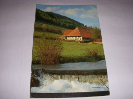 CP CARTE POSTALE ALLEMAGNE STEINEN PAYSAGE - ECRITE - Altri & Non Classificati