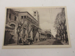 CP CARTE POSTALE AFRIQUE TUNISIE TUNIS AVENUE De CARTHAGE Le PALMARIUM - Vierge - Túnez