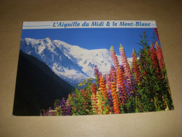 CP CARTE POSTALE HAUTE SAVOIE L'AIGUILLE Du MIDI Et Le MONT BLANC - ECRITE - Chamonix-Mont-Blanc